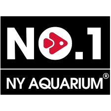 No. 1 NY AQUARIUM